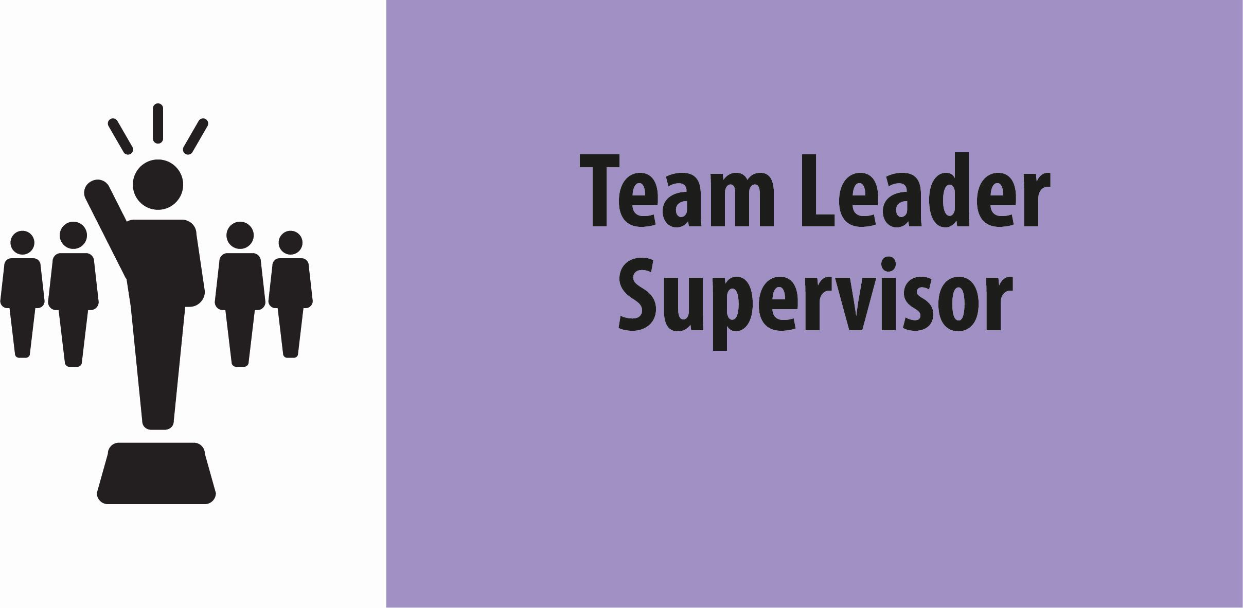 Team Leader Supervisor